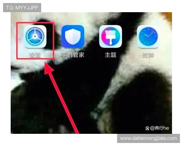 皇冠手机管理网登录网址官方入口，便捷快速登录指南推荐
